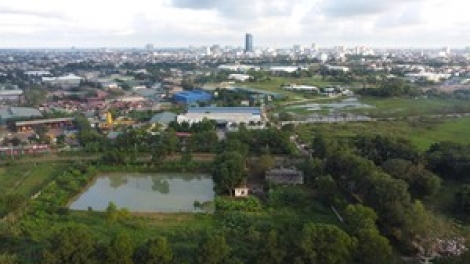 Phú Yên đơc đoọng ha k’noọ 800 ha k’tiêc k’ruung đoọng bhrợ đong ăt