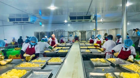 Dak Lak mtă kơ mnuih ƀuôn sang amâo pŏk mlar ênhă pla boh durian 