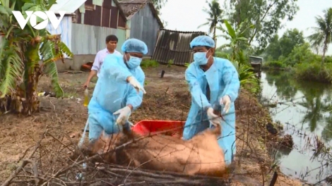 ពត៌មាន ម៉ោង​ ៦