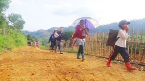 Lâh 61,5 tỷ đồng bhrợ bhr’lâ tr’mông ha p’niên k’tứi Nam Trà My