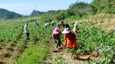 Tsaz yênhx nta suôz luk Hmôngz hnuz 28-12-2022