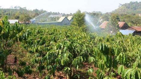 Tây Nguyên pơtối mơnhông mơdêk 