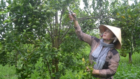   Bu ur Krông Nô, n’gor Dak Nông dŏng săk rnglăy tơm prăk chính sách 