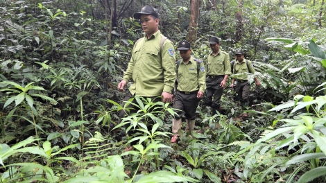 Quảng Nam: Xay bhrợ apêê cr’liêng xa nay crêê tươc bh’rợ zư lêy lâng pa dưr crâng c’moo 2022