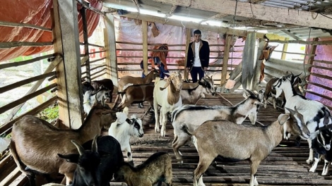 Quảng Trị: K’rong pr’đơợ k’rong bhrợ zr’lụ đha nuôr acoon coh lâng da ding ca coong