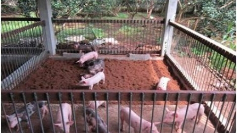 Črâo brơi boh thâo pơkra hĭ djah ƀâo brŭ mơng bruă rông hlô hăng djah djâo hơdjă