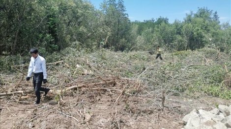 ពត៌មាន ម៉ោង ១១