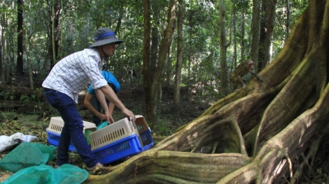 Tơmù ngui sa poăc phan brê nàng sền gàr bơta pràn kơl dang să jan mpồl bơtiàn