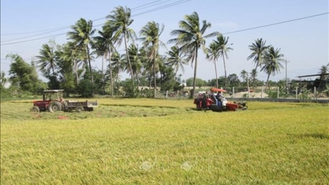 RAIDIUK BHAP BINI DOM BANGSA TAKIK DAK HAREI DAK HU SIAM JANG