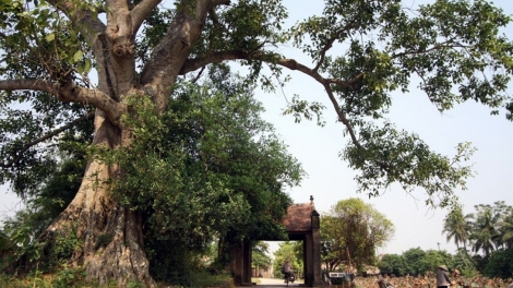 Zư lêy, pa dưr chr’năp văn hóa coh bhrợ têng vel bhươl t’mêê