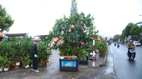 Ntơr ang năm mhe tât ta Tây Nguyên