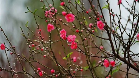 CHƯƠNG TRÌNH KHAY HENG TÀY - NÙNG  (Thứ Năm- Vằn 19 bươn 1 pi 2023)