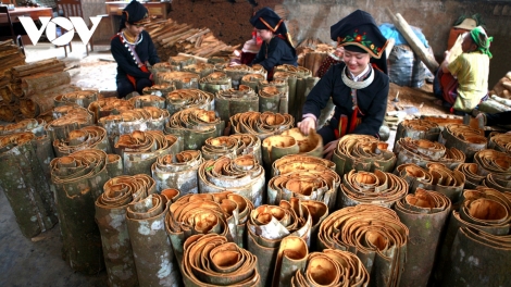  URANG DAO BHUM VĂN YÊN TREI SIR NGAN HAONG PHUN  QUE 