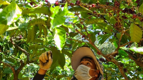 Gia Lai: Ntơr uĕh bah bôk nău kan n'hŭch ach o ta nkual rnoi mpôl đê̆
