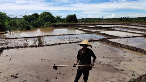 Tây Nguyên duh hồl lòt lơh broă sa bồ nam pa
