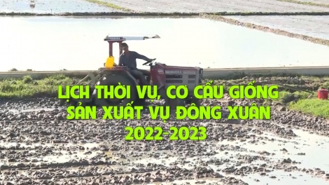 Lầy tzình  phát sinh ìu miền vả thứ 4 hoi 4.1.2023