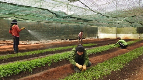 Ndơ̆ khoa học, công nghệ sĭt ƀon ta Kon Tum 