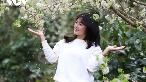 Lắng nghe mùa xuân về