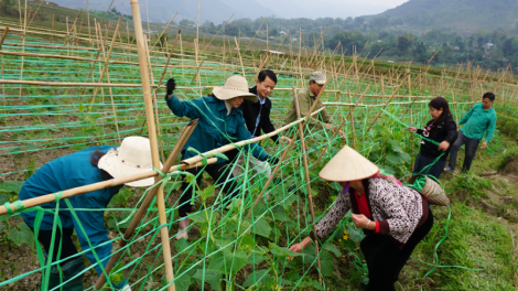 Ngon tô thứ 3 mự 03 căm  bườn 01 pì 2023 – Po hay me na phổng xùng Lai Châu khâng pảy chự cò púk bồng, tồ tảnh liệng cuồng pưng chu phạ nào cưm hại hức, lạ hy l