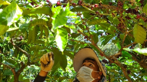 Gia Lai: Ƀĭng ngă lŏ hma Jarai bi ktưn mbruă bruă mkra mjing, mnia mblei