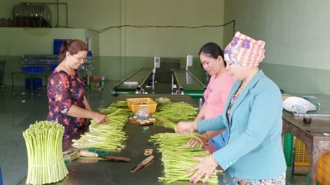 URANG KUMEI CAM DUAH HU LABAIH MATEH TY YAOK THUN MENG PANDIAK, HANGIN NINH THUẬN