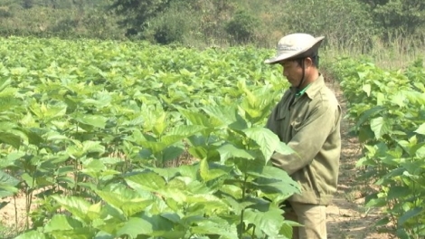 Lăn Dap Kngư 2023- dôk hmăng hmưi dŭm klei jăk mơak mbĭt hpŏng yan mnga 