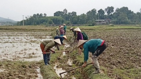 Tây Nguyên hơniâp ro lo pêi cheăng apoăng hơnăm