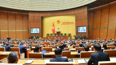 Quốc hội xay moon bhiệc đoọng đươi dua bha ar đăng ký âng đơơng zanươu
