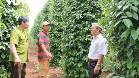 Đắk Lắk pa dưr xa nay bh’rợ k’rong bhrợ đh’rưah coh bh’rợ ch’choh b’băn