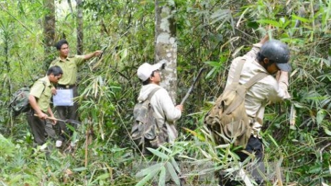 Quảng Nam: 10 c’moo chroót zên dưm zư lêy crâng bơơn k’nặ 1 r’bhâu tỷ đồng 