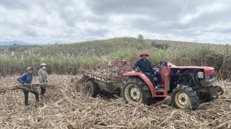 Têt trơi pơđao mơ̆ng mơnuih pla tơbâo ƀơi Dak Lak