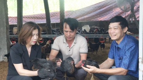 Kơl an ƀon lan kan lŏ mir tuch tăm tĭng trong đăp mpăn