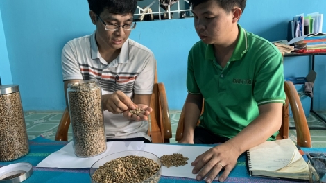 Ƀon lan Ba Na tâm jă ƀư cà phê kloh