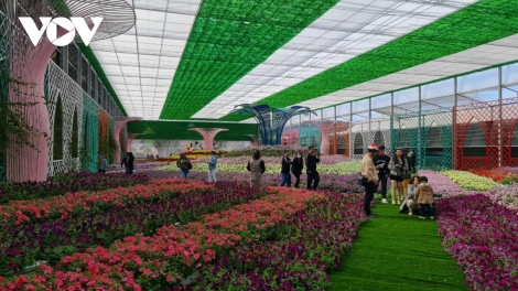 Ôm hyô pơlê reăng a pơlê kong kơdrâm Đà Lạt rơpâu reăng