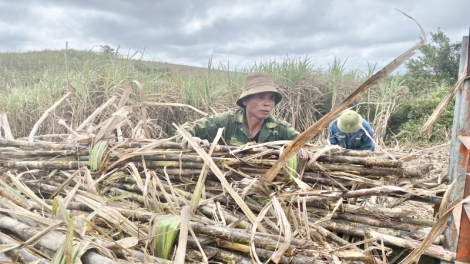 Tết ăp tŏng bah nuĭh tăm tao ta Dak Lak