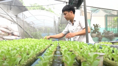 Tơgŭm djru dih băl atŏk tơ iung hơnăn tơmam drăm chŏh jang sa Pơlei tơm Hồ Chí Minh