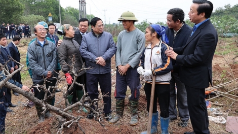 ពត៌មាន ម៉ោង ១១