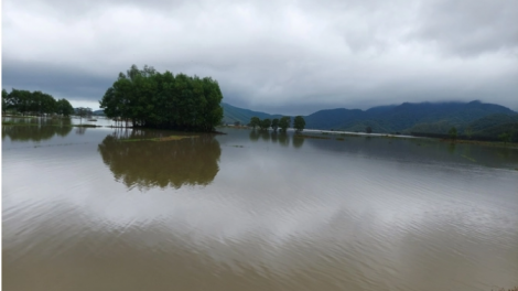 Phú Yên lâh 4000ha ha roo ha ọt ha pruốt nong lịt