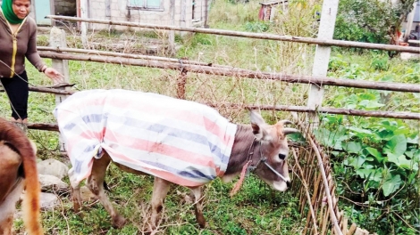 Thừa Thiên Huế zêl cha groong ha ul cha kếêt đoọng ha bh’năn băn