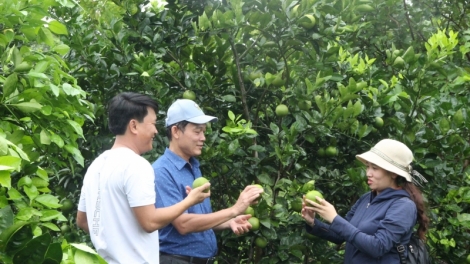 Dong kờl cau lơh broă sa lơh sa sươn sre jăt gùng dà niam sàng goh