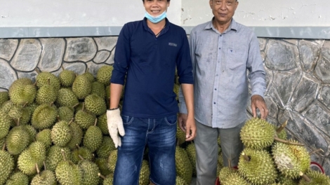 កសិផលតំបន់ដីសណ្ដទន្លេគឺវឡុង ឆ្ពោះទៅកាន់ទីផ្សារធំៗ។ 