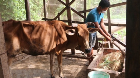 Nhiều chính sách hỗ trợ vùng đồng bào DTTS phát triển