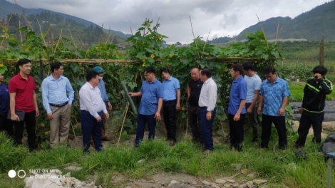 Liêm choom tơợ zâp bh’rợ đh’rứah lâng đhanuôr bơơn bh’nơơn dal cóh Sa Pa