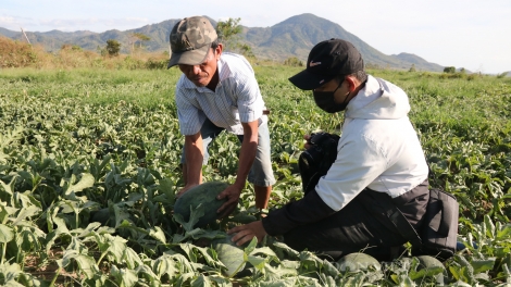 Bơyan mơkai huač prăk đôč đač pơ Krông Pa, Gia Lai