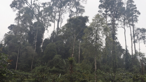 Broă sền gàr brê bơh cau Mông Nà Hẩu dê