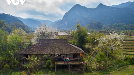 THÁI NGUYÊN PĂN TỀNH 28 TỶ MƯN TẲNG CÓ BÚNG DÂN TỘC NỌI CẦN VẠ KHAU PÙ CÚA HOẸN ĐỒNG HỶ