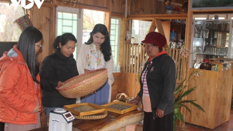 Ba yua boh thâo ia rơgơi phrâo ngă hmua ƀơi Lạc Dương tŭ yua biă