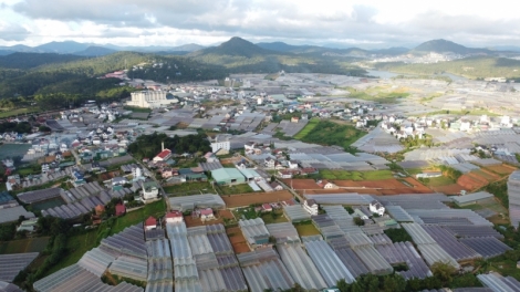 Lâm Đồng kiăng hmâo 177 klai prăk ba tơbiă sang gôm đang pla mơng krah plơi prong Đà Lạt pơ̆ guai plơi prong 