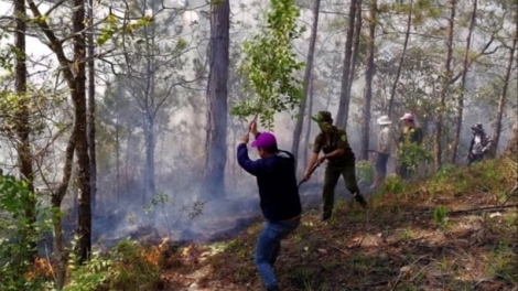 Lâm Đồng hyuă kjăp bruă gang mkhư̆ klei pui ƀơ̆ng dliê 