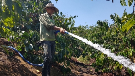 Tây Nguyên hbrâ tăng têa [ă mơdât on chếo kong